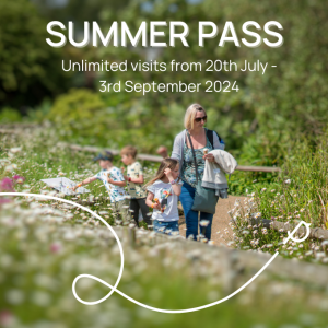 Summer pass