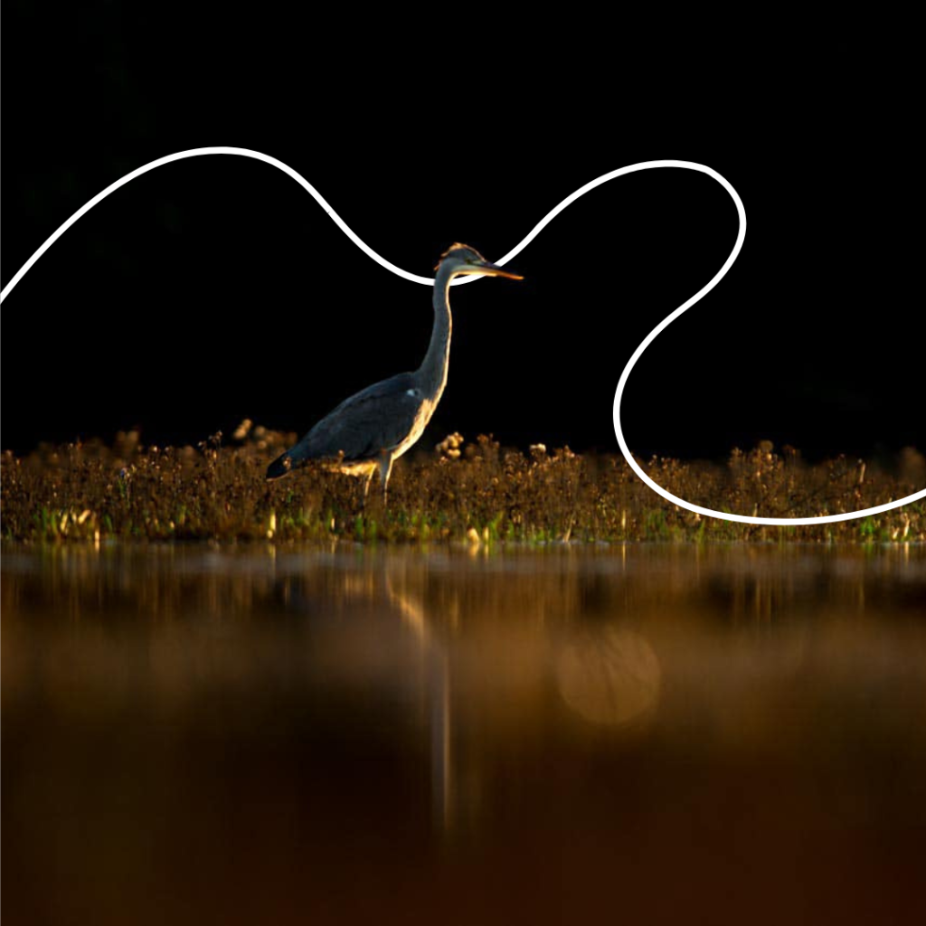1 day photography course with Josh Jaggard March 2025