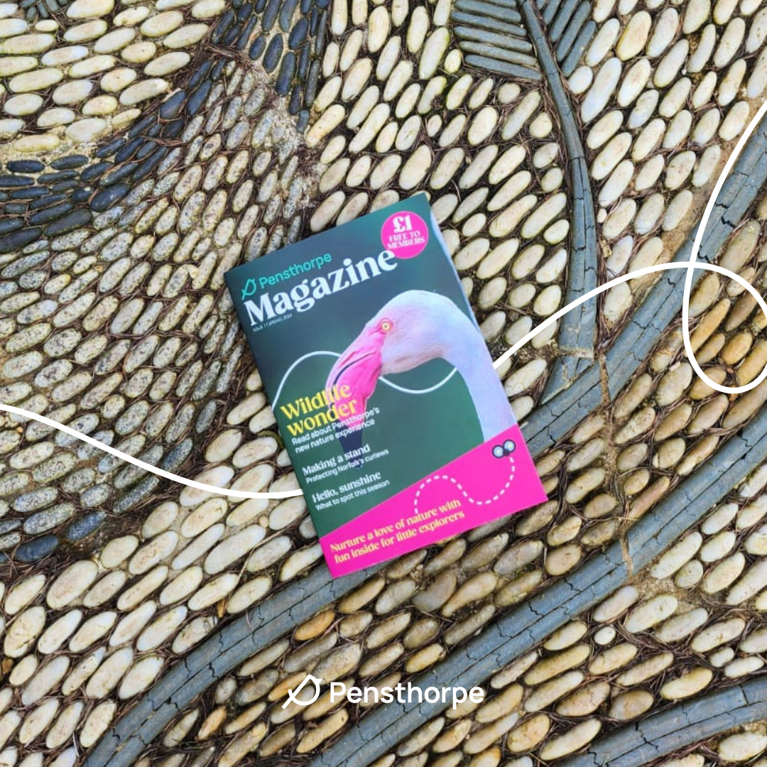 Pensthorpe Magazine - Issue 01, Spring 2024