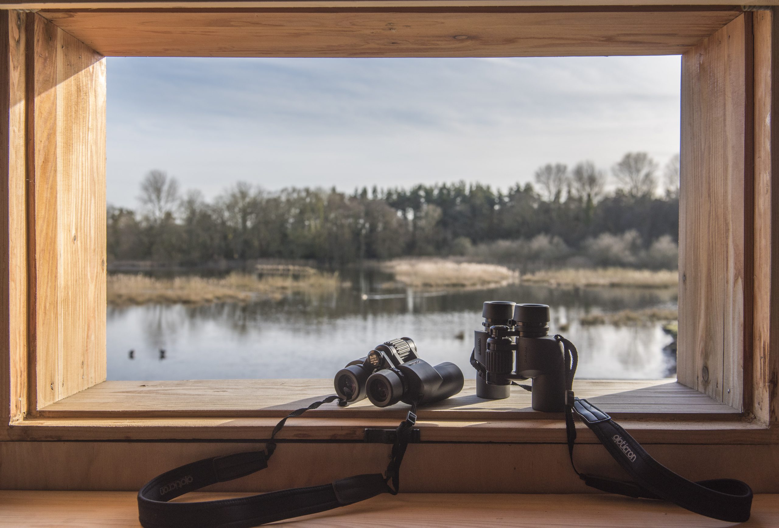 Bird watching at the Wetland Hide