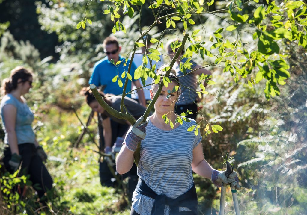 Volunteering at Pensthorpe